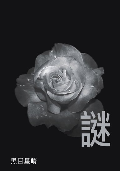自資出書新書介紹 我的BB日記